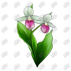 Pink And White Lady's Slipper Flower Women's V-Neck T-Shirt -DIOO Clothing Shop d.2510168151.24945602.s3.1 ffffff YXJ0aXN0c2hvdA 800x800 1