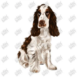 English Cocker Spaniel Crop Top -DIOO Clothing Shop d.2526209563.25076081.s3.1 ffffff YXJ0aXN0c2hvdA 800x800 1