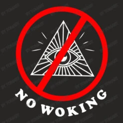 No Woking Ladies Fitted T-Shirt -DIOO Clothing Shop d.2526845370.25072813.s3.1 272624 VG9tQXJ0 800x800 1